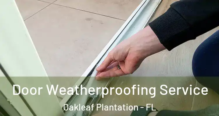  Door Weatherproofing Service Oakleaf Plantation - FL