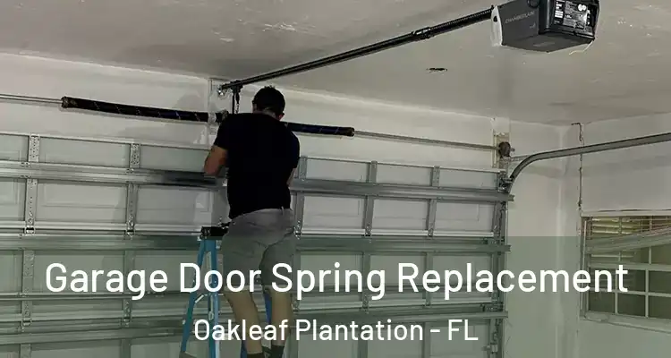  Garage Door Spring Replacement Oakleaf Plantation - FL