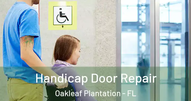  Handicap Door Repair Oakleaf Plantation - FL