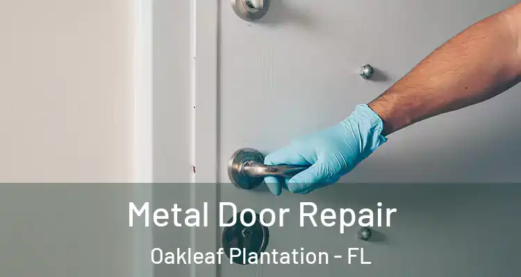  Metal Door Repair Oakleaf Plantation - FL