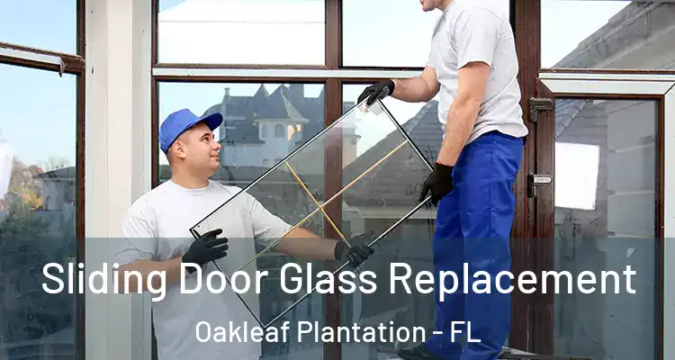  Sliding Door Glass Replacement Oakleaf Plantation - FL