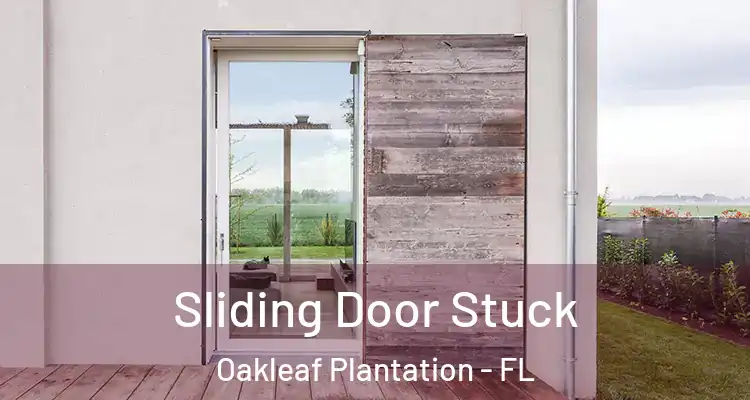  Sliding Door Stuck Oakleaf Plantation - FL