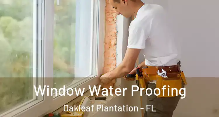  Window Water Proofing Oakleaf Plantation - FL
